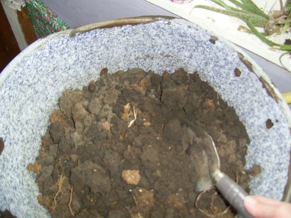 4-old-used-pot-dirt-too.jpg