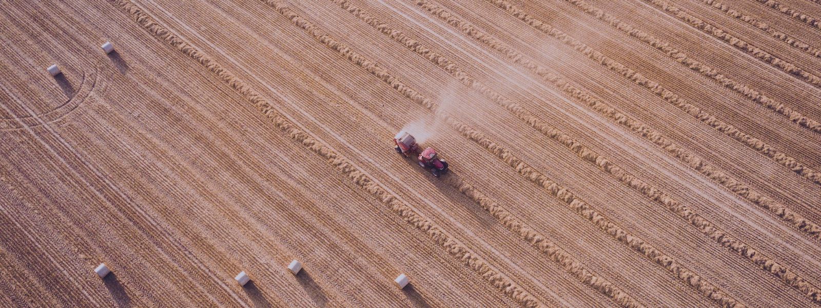 Big Data Agriculture